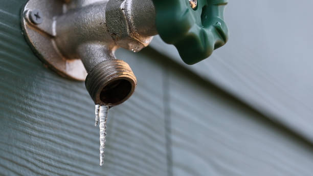 Best Local Plumber Services  in Telford, TN